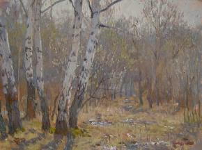 Yaroslav Zyablov. The willow blossoms