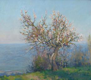 Yaroslav Zyablov. Blossoming apricot tree.